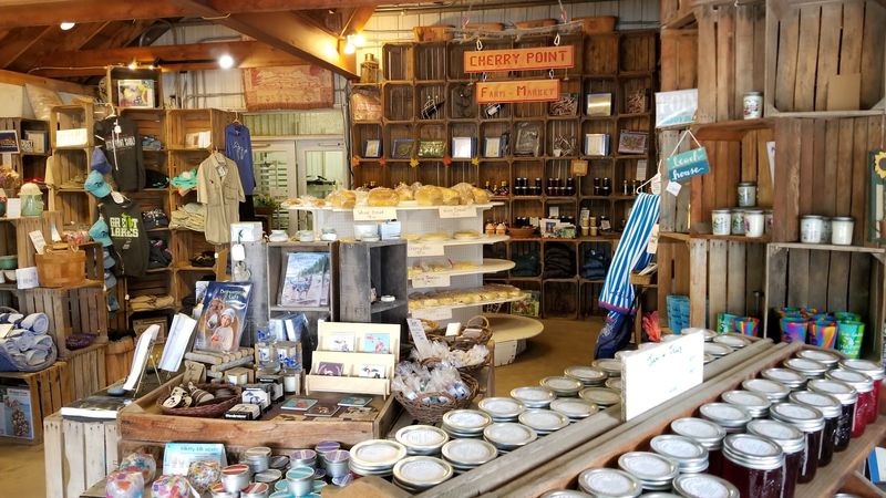 Barbara: The Author Behind the Farm