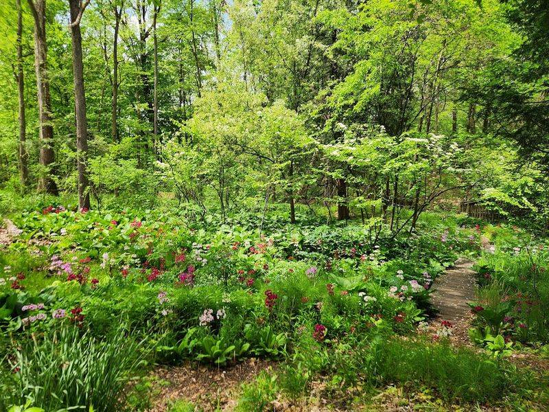 Seasonal Beauty Year-Round