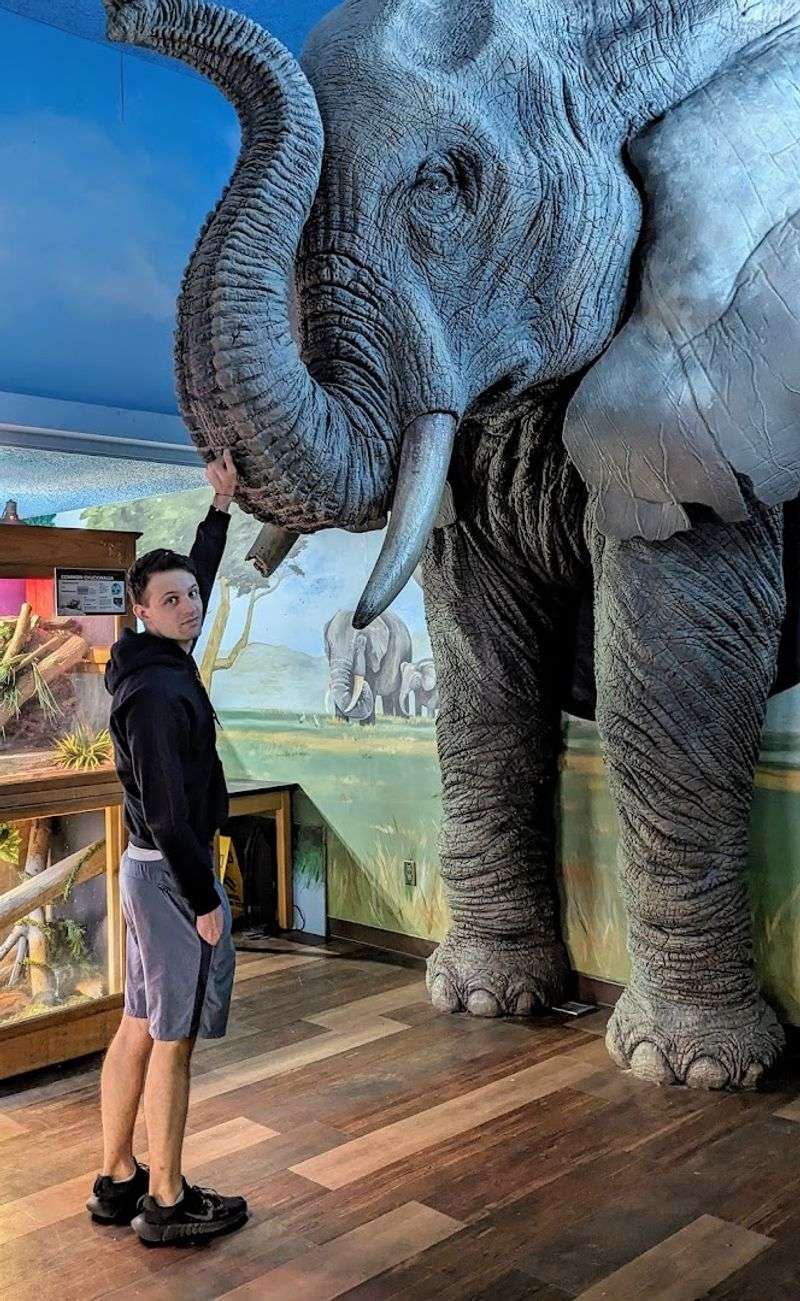 Zoo Snooze Overnight Adventures