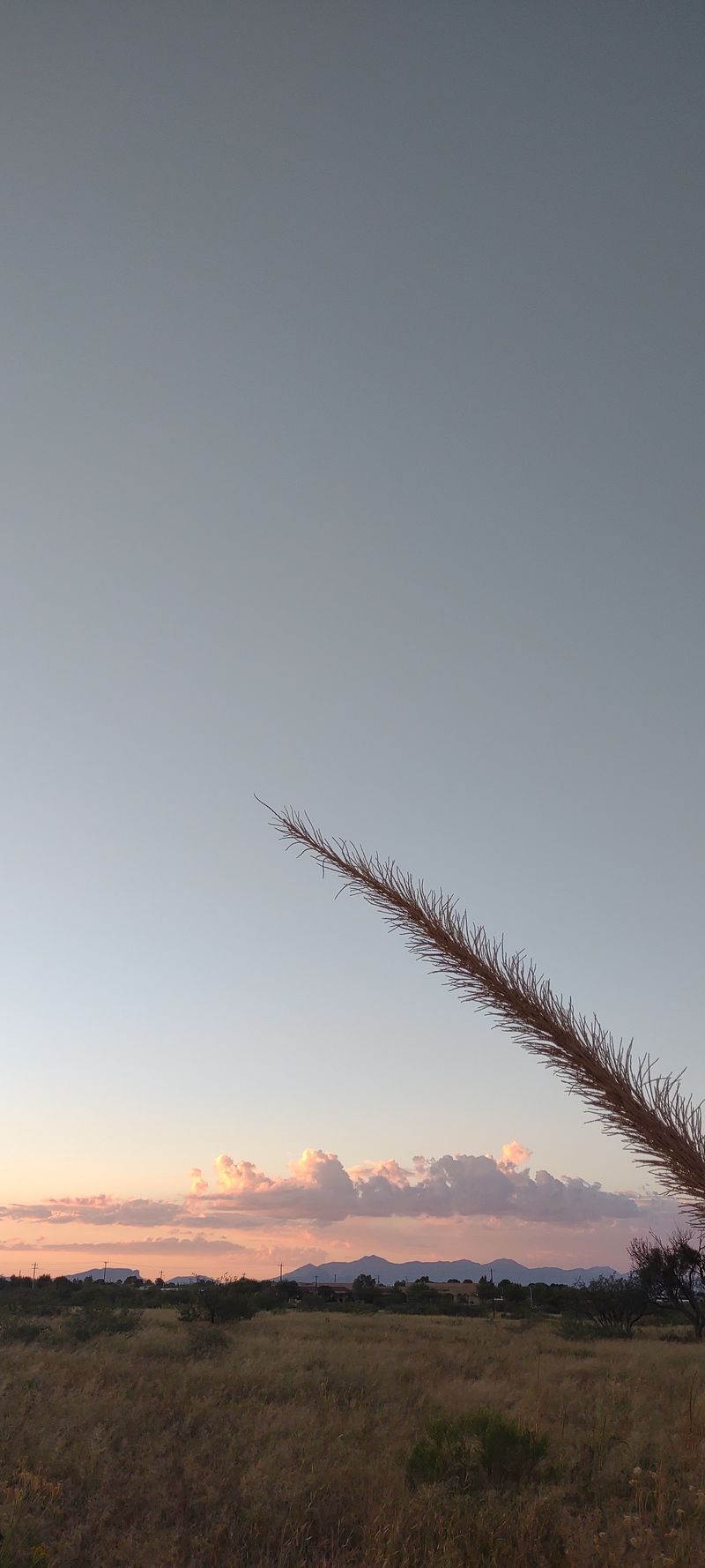 Birding Capital of the United States Is Not Just a Marketing Tagline