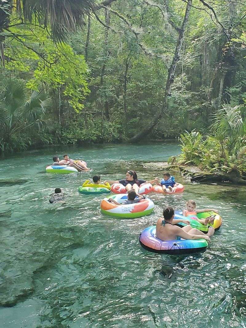 What to Pack for a Flawless Kelly Park Adventure