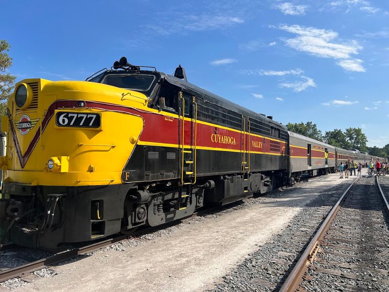 What Makes It Stand Out Among Theme Park Trains