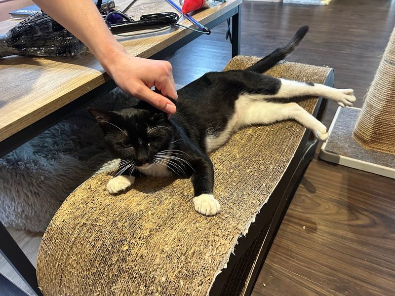 The Friendly and Knowledgeable Staff at Pounce