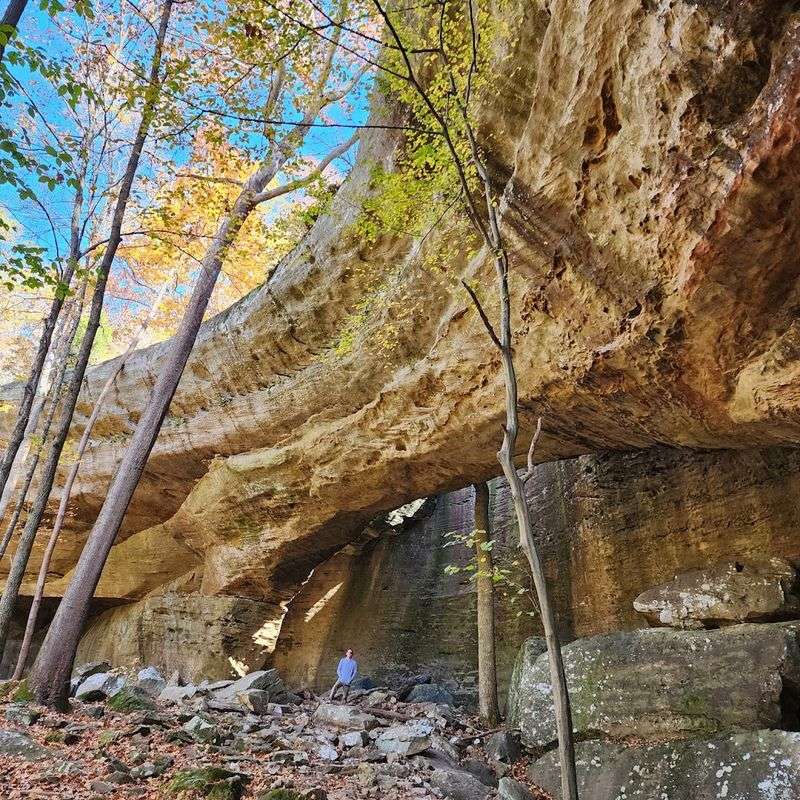 The Sandstone Canyon Walls and Scenic Overlooks