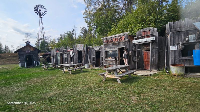 Hidden Deep in the Michigan Woods