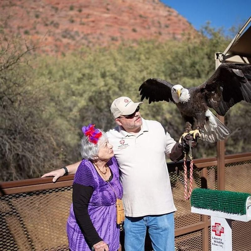 A scenic 20-mile train ride in Arizona you can enjoy all year 11 Friendly and Knowledgeable Crew That Elevates Everything