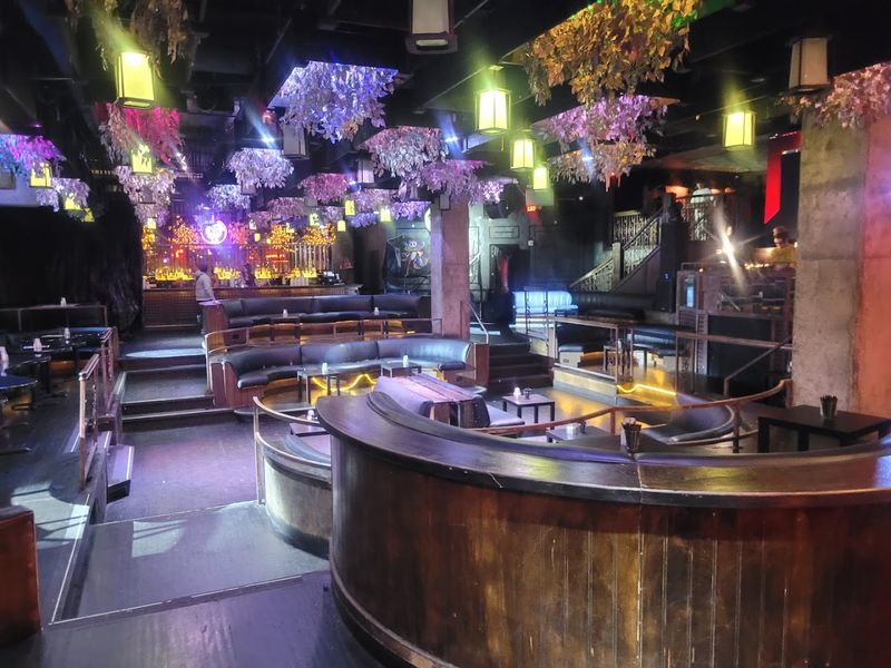 This Gothic California Restaurant Looks Like It Came From A Tim Burton Film 12 Service Style and What Guests Should Know