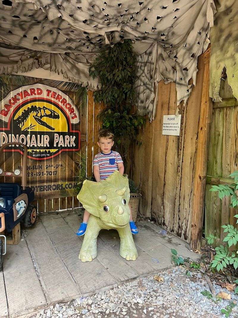 The Dino Dig Area Kids Absolutely Cannot Get Enough Of