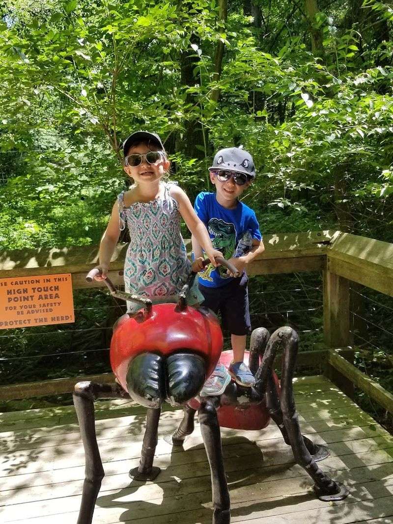 Skylark Ropes Course and Zip Line