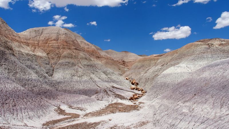 Why This Trail Feels Like Stepping Into a Natural Museum