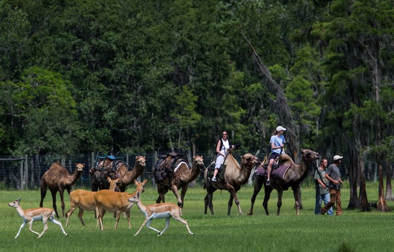 Expert Tour Guides Who Make the Difference