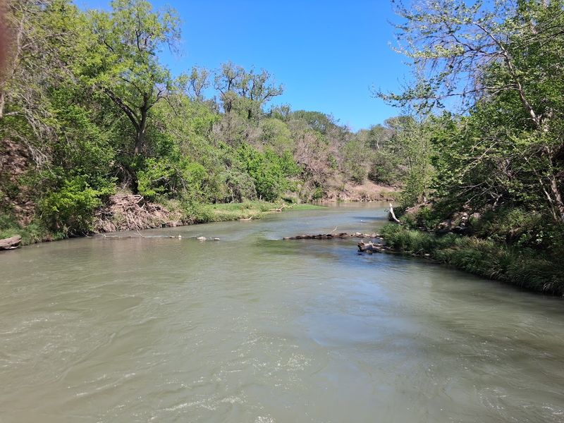 San Marcos River Running Through the Heart of the Park
