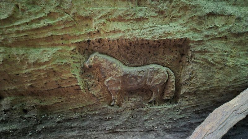 Rock Carvings and Trail History