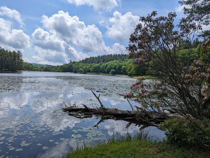 Lake Views That Feel Bigger Than the Distance