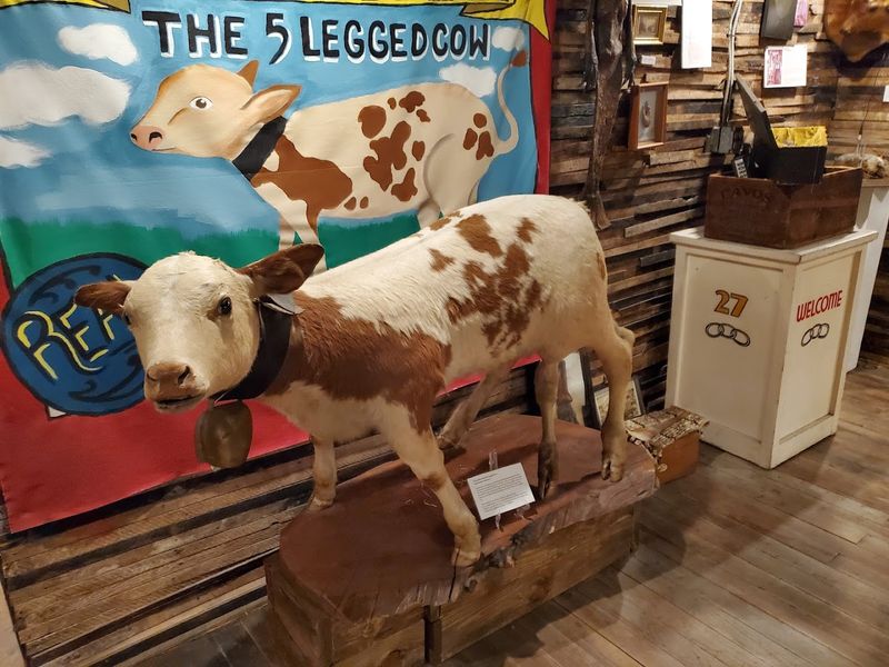 Oddities make the museum stranger than a true crime stop