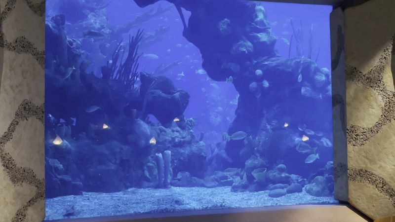 Coral Reef Restaurant - Lake Buena Vista, Florida