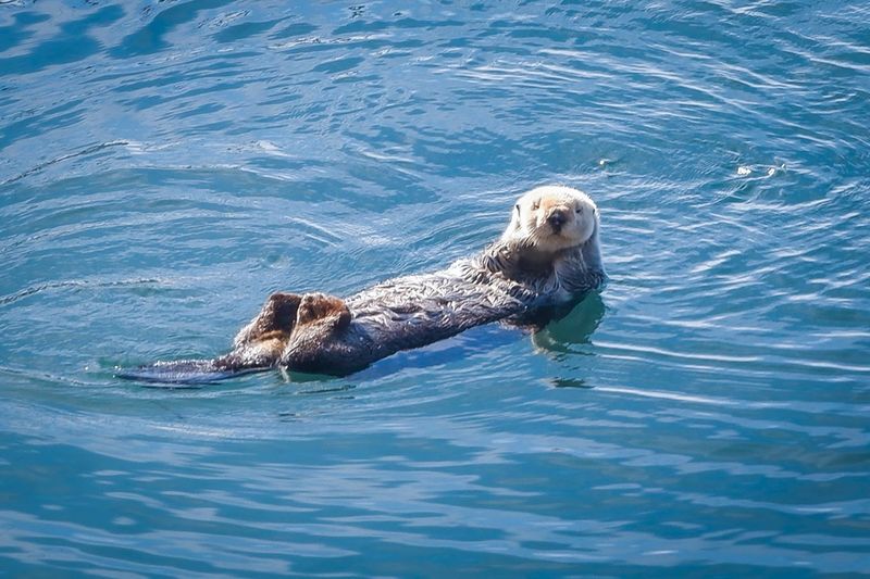 Fresh Seafood That Tastes Like It Just Came Off the Boat