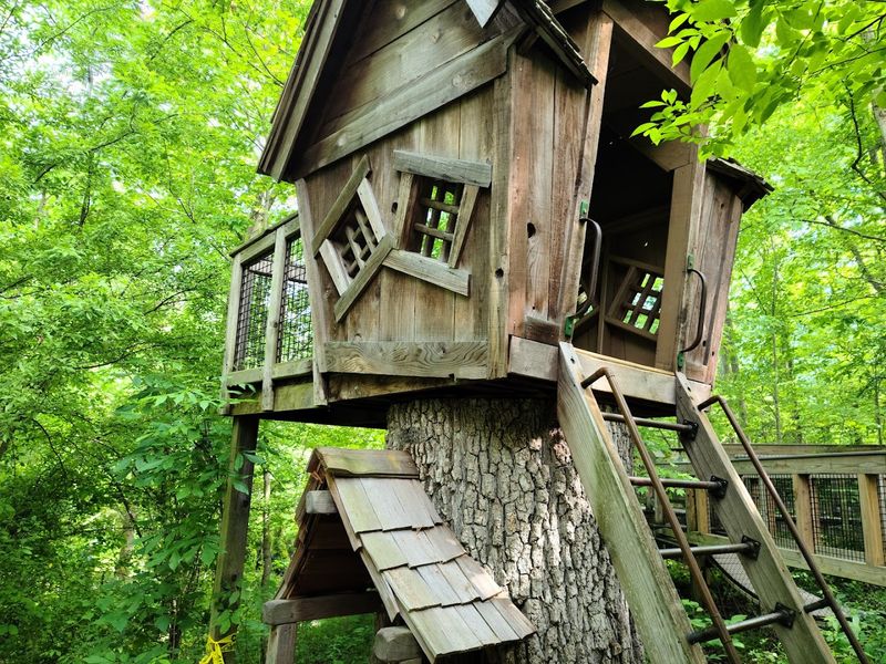 The Enchanting Storybook Trail