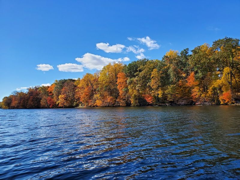 Riverside Magic Along the St. Joseph River