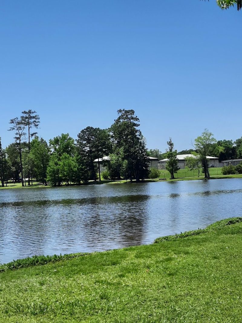 Mild Southern Climate Perfect for Outdoor Living