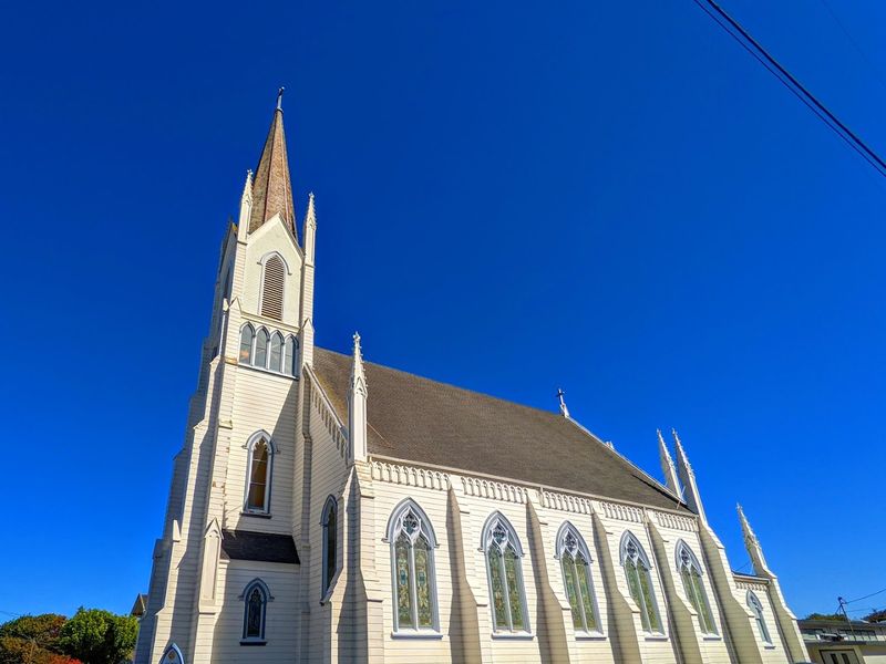 Loleta Cheese and the Local Food Scene
