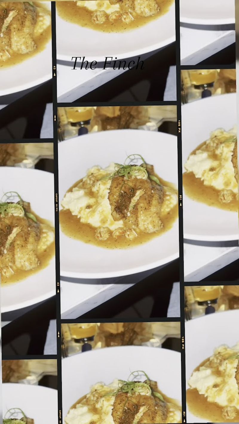 The Finch - Grand Prairie, Texas