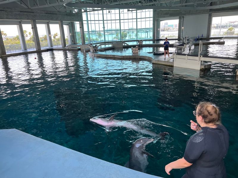 Clearwater Marine Aquarium - Clearwater, Florida