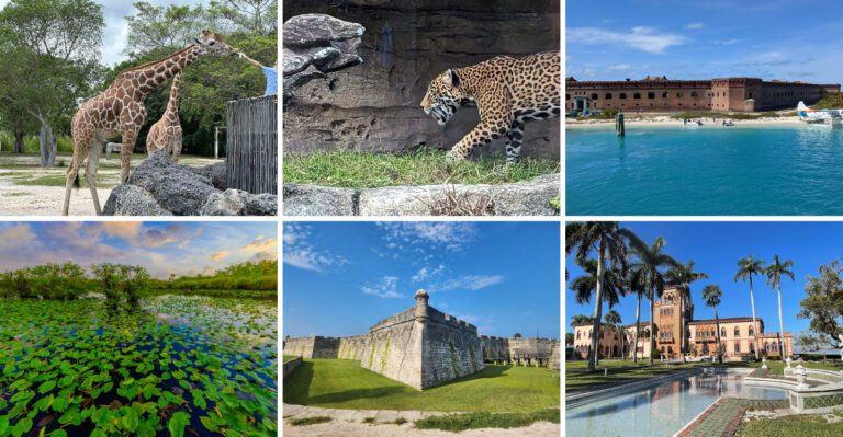 The Florida Places Tourists Choose When They Want More Than Beaches and Theme Parks