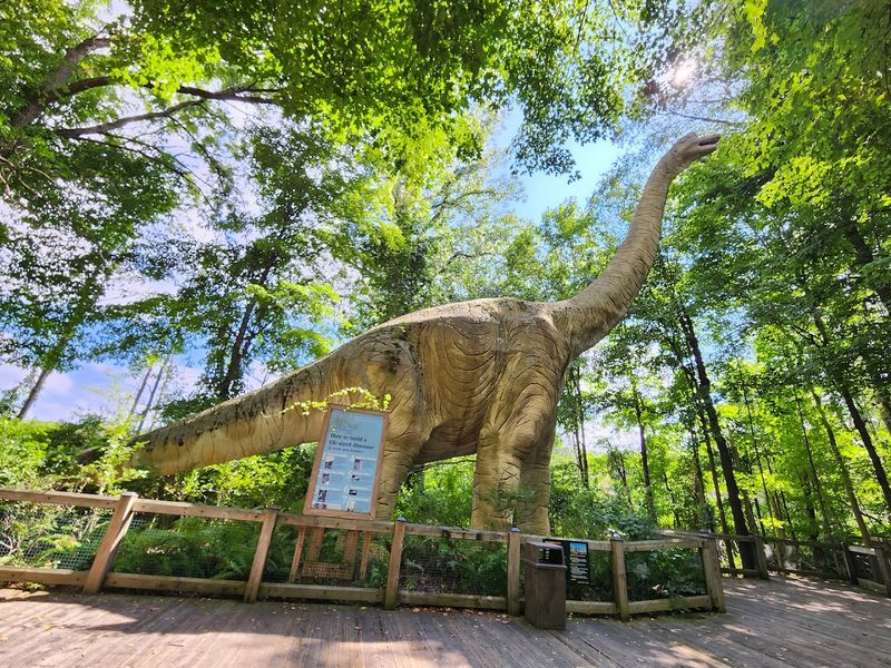 The Dinosaur Discovery Area