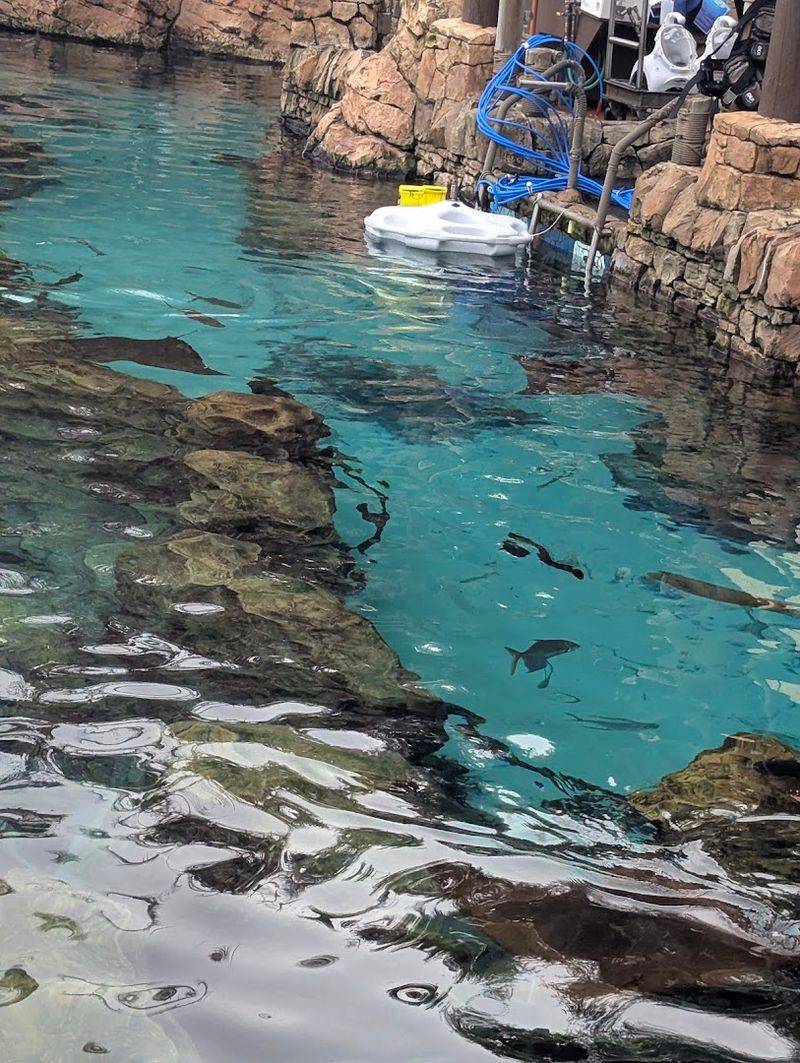 SeaVenture: The Underwater Walking Adventure