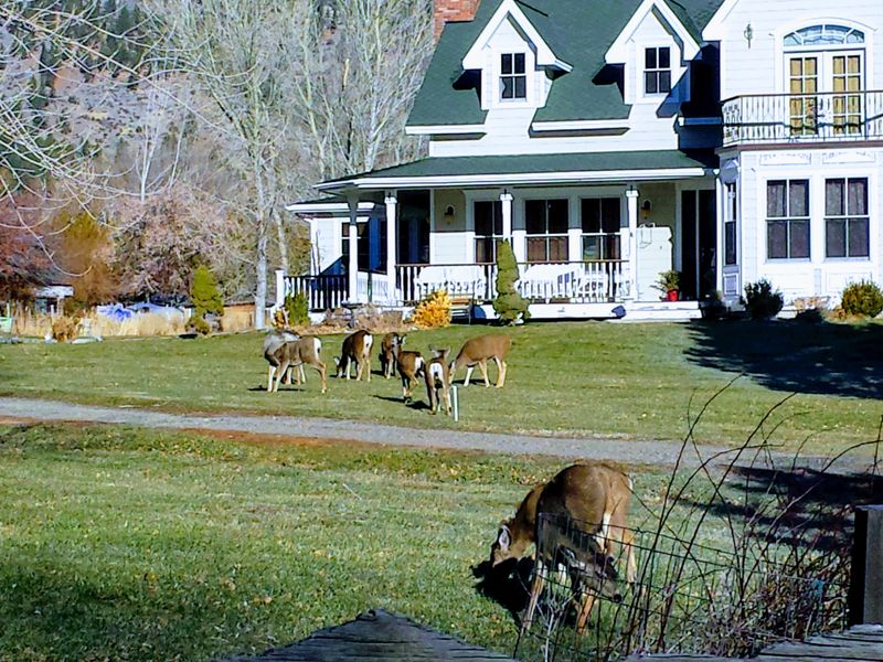Carson Valley: A Lush Green Oasis in the Desert State