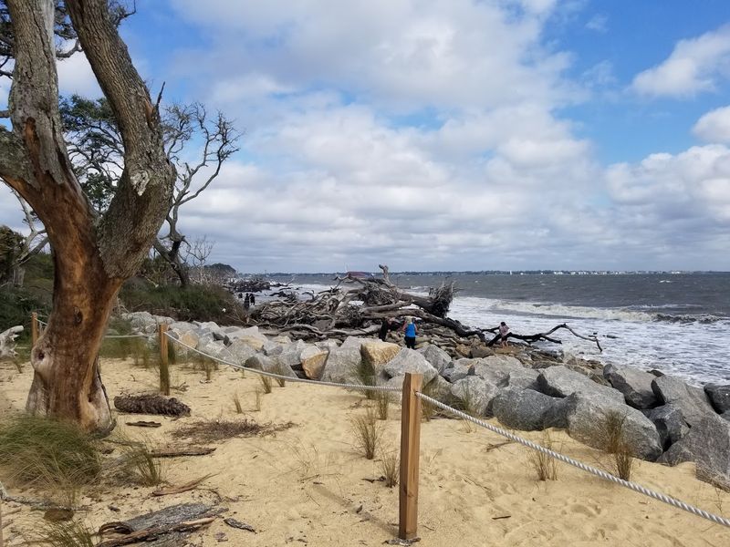 Why Hammocks and Picnics Work Perfectly Here