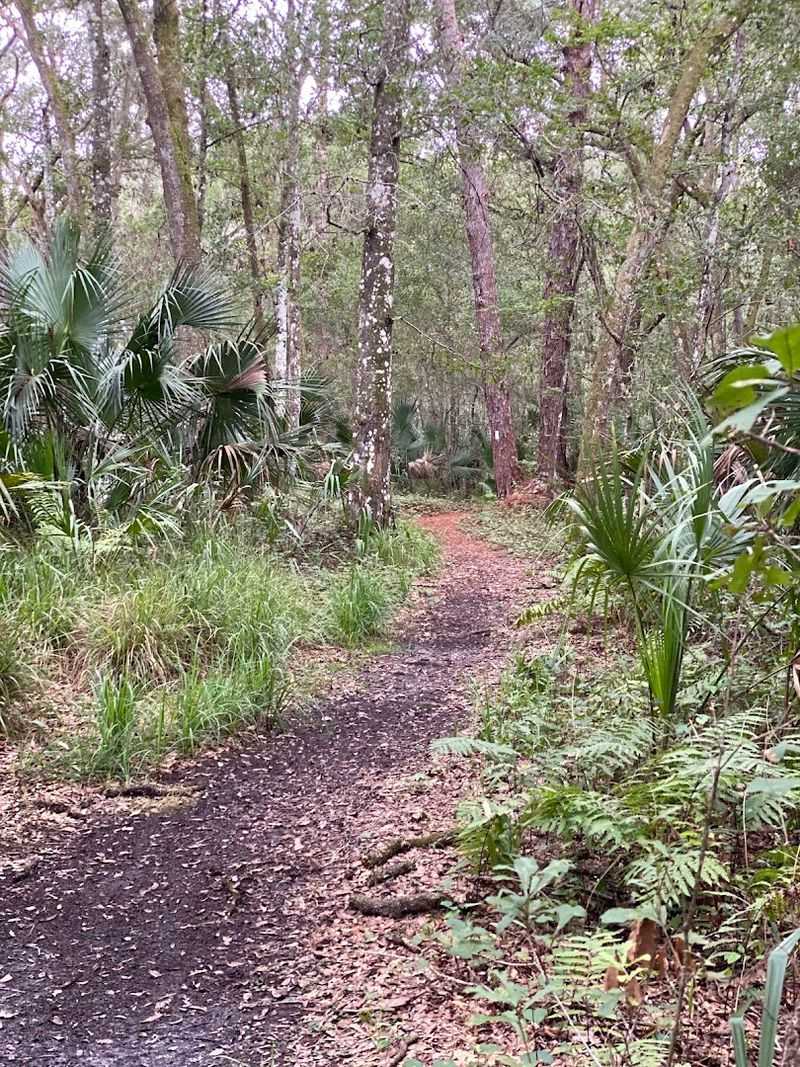 The Yellow Trail Blazes That Keep You on Track