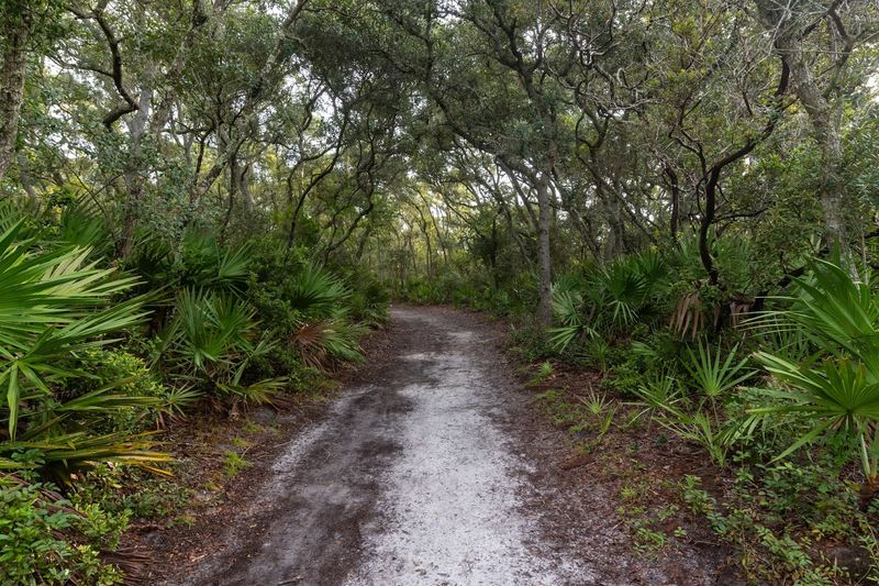 Getting There: The Half-Mile Trail Through the Woods