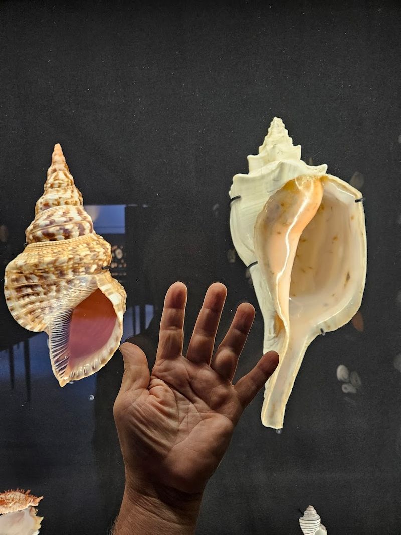 Touch Tanks: Where Hands-On Learning Gets Real