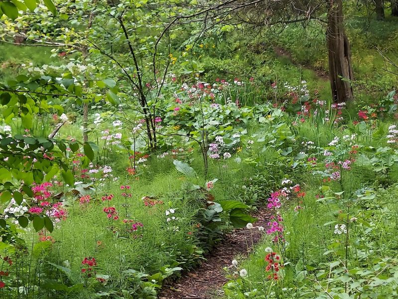 Accessible and Family-Friendly Design