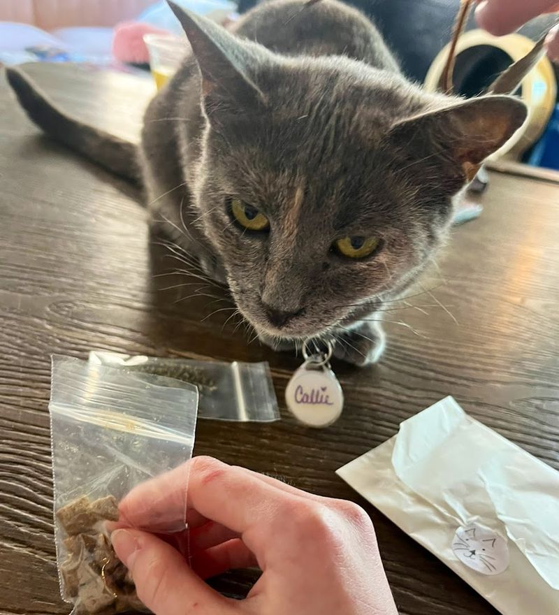 Tips for Getting the Most Out of Your Visit