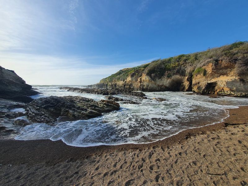 This Small California State Park Is Perfect For Letting Go Of Stress 12 Morning Visits: Beat the Crowds, Own the Coast