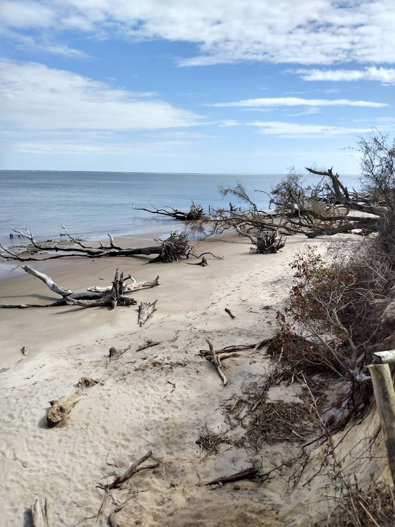 Best Times of Day and Year to Visit Boneyard Beach