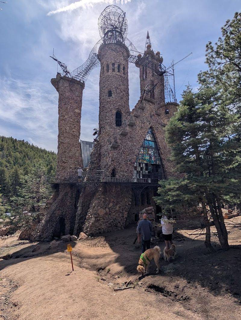 Quirky Animals on the Grounds