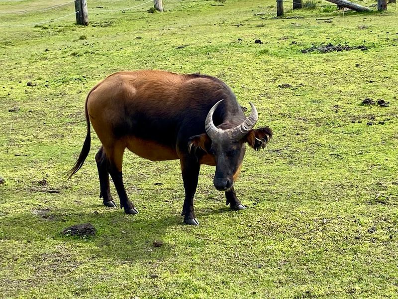 The Guided Bus Tour That Goes Way Off the Beaten Path