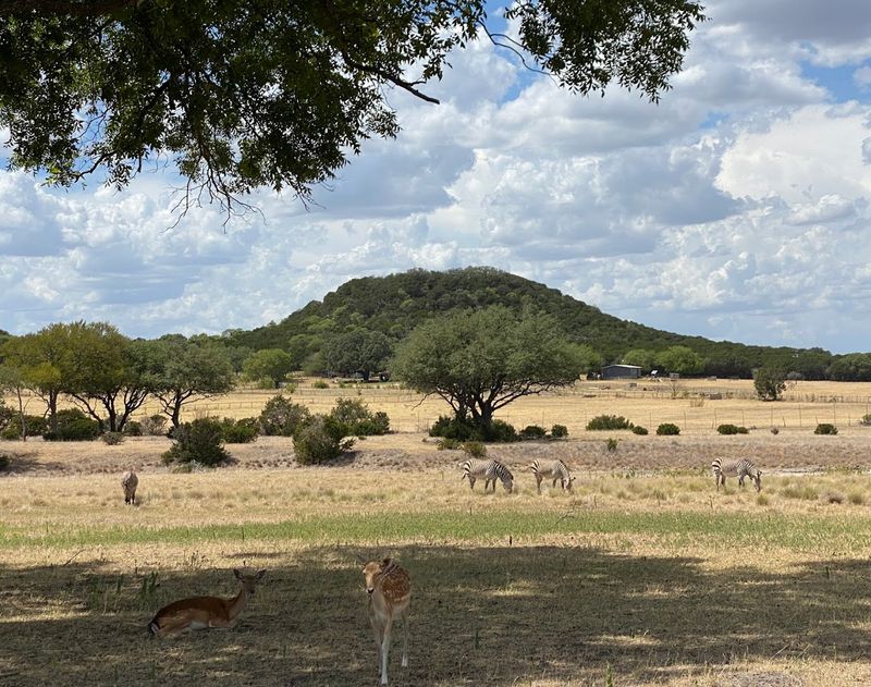 Conservation and Endangered Species Mission