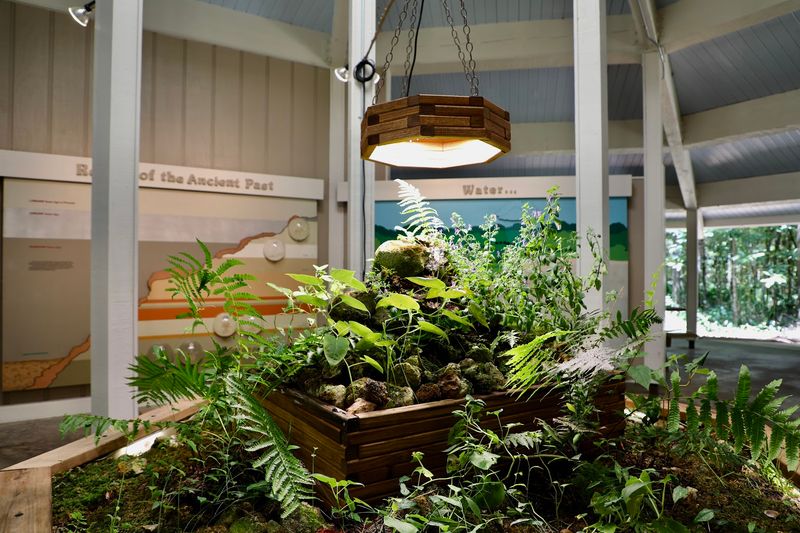 This hidden Florida sinkhole park feels so unexpected it almost passes for something out of another state 7 The Visitor Center and Educational Displays