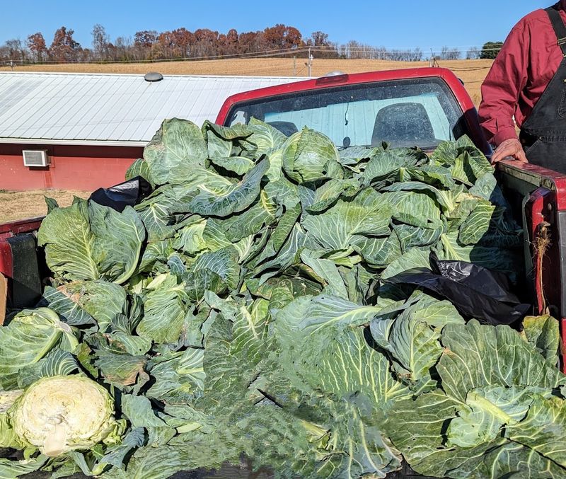 Farm-Fresh Produce Worth Waking Up Early For