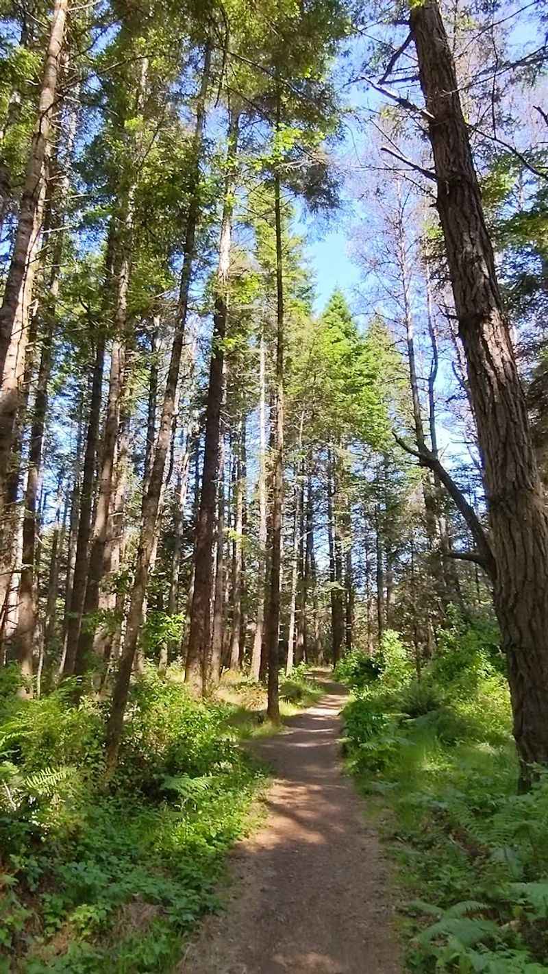 A small California state park that's simply too beautiful to keep secret 7 Redwood Giants Hiding Just Minutes From the Coast
