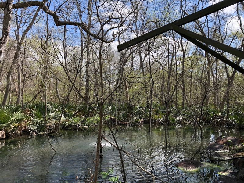 The Artesian Well and Its Fascinating Natural Pond