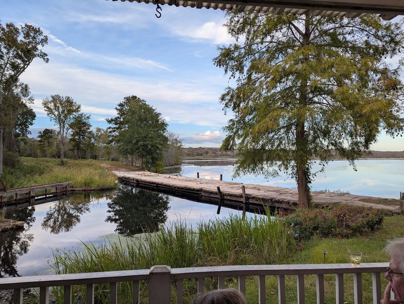 Scenic Pond Views That Steal the Show