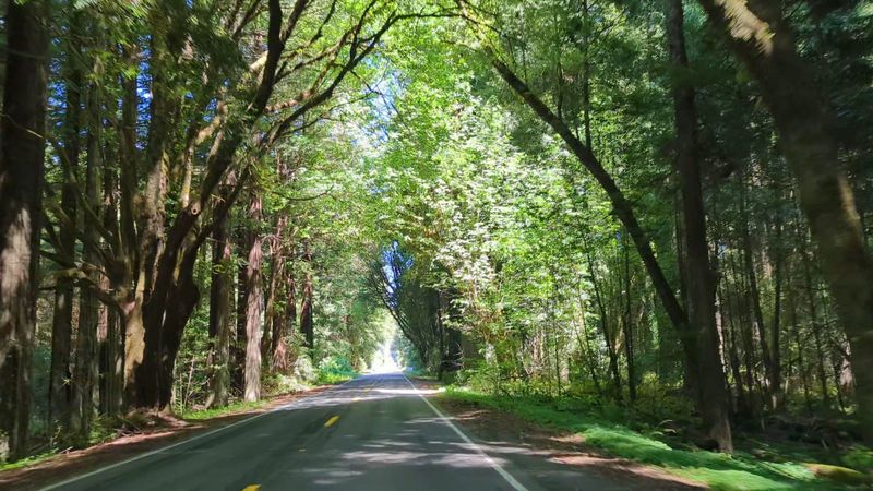 Best Time to Visit and How to Plan Your Trip