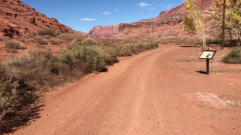 The Self-Guided Walking Tour