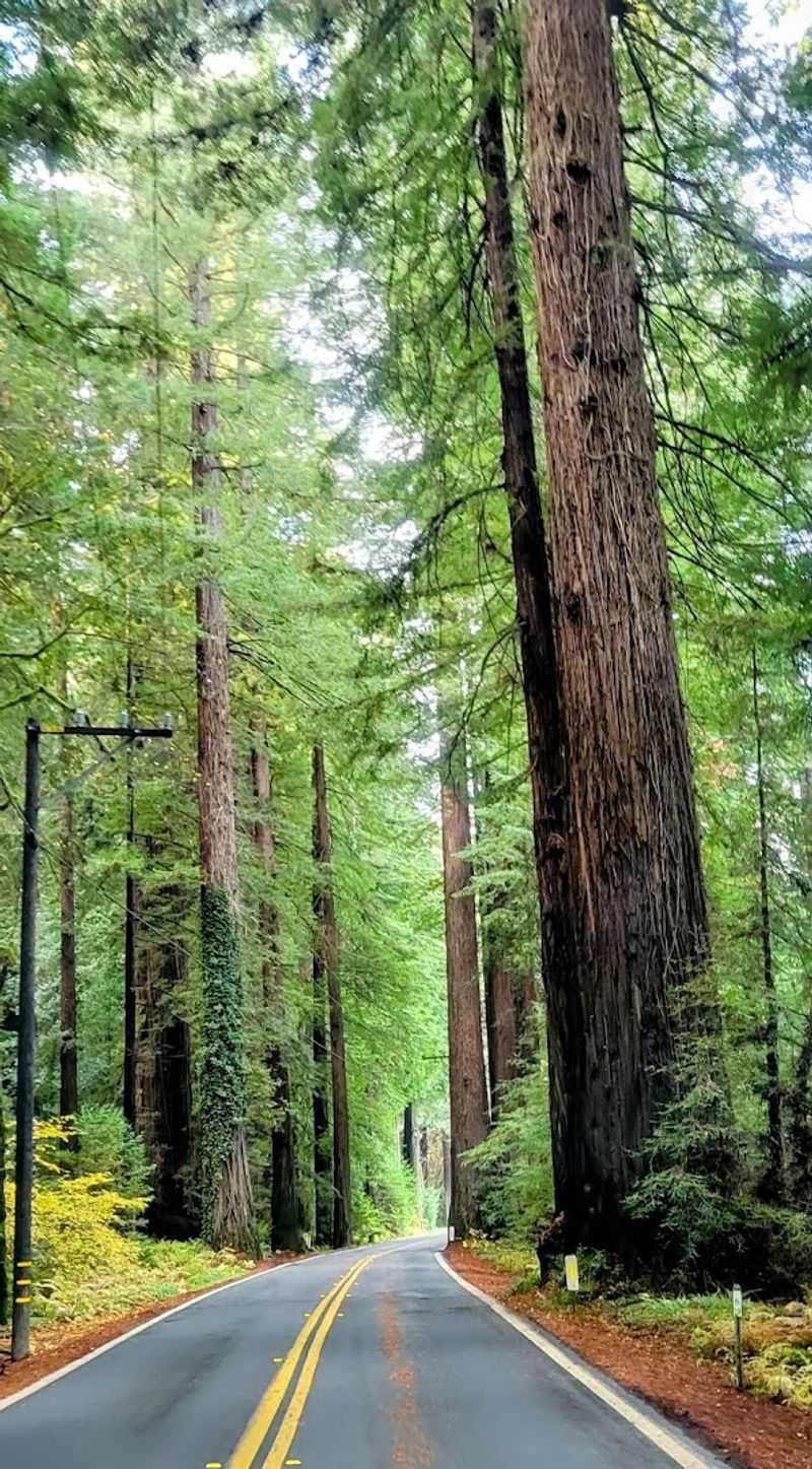 This 31-mile California drive feels like stepping into another world 5 Humboldt Redwoods State Park Visitor Center